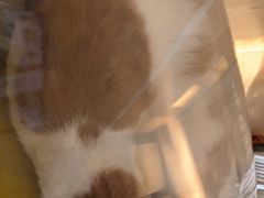 -芭比堂动物医院广州顽皮分院