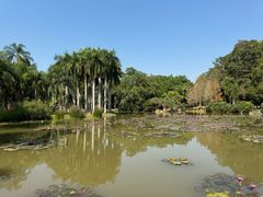 -中国科学院西双版纳热带植物园
