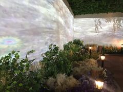-印象莫奈时光映迹艺术展