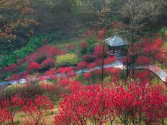 -桃花涧