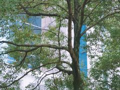 -南华大学(红湘校区)