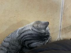 -清真·穆萨砂锅(大皮院店)