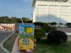 -九龙公园