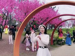 -无锡蠡湖国家湿地公园-蠡园