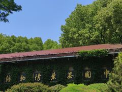 -中国茶叶博物馆(双峰馆区)