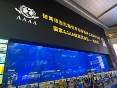 -成都浩海立方海洋公园