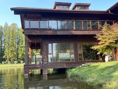 -黄海国家森林公园