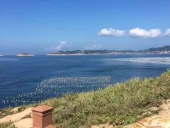 -枸杞岛