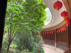 -雁南飞茶田景区
