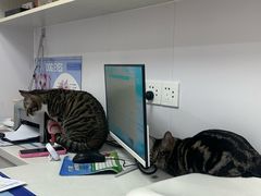 -博特宠物医院24h犬猫全科.骨科·异宠