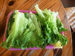 -侠成水上农庄(工业大道店)