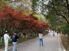 -南京市江宁方山
