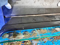 -徐记海鲜(观沙岭|滨江新城店)