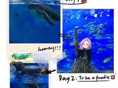 -华夏文旅海洋公园