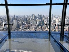 -东方明珠广播电视塔