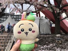 -札幌电视塔
