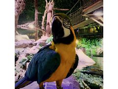 -迪拜水族馆及水下动物园