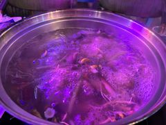 -千岛蚝高压锅生蚝·人参火锅(白云万达店)