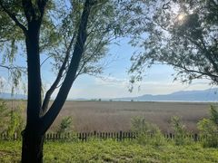 -野鸭湖国家湿地公园