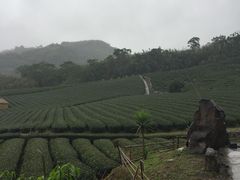 -优游吧斯邹族文化部落