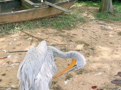 -无锡动物园·太湖欢乐园