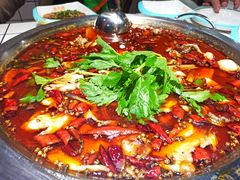 -蛙一刀·麻椒鱼火锅(金仙桥店)