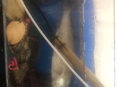 -宾朋海鲜特色美食餐厅·纯手工鲅鱼水饺(兴海路店)