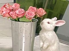 -大桥道糕点食品店(津塘路店)