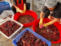 -霸王虾·麻辣小龙虾(清水河公园店)