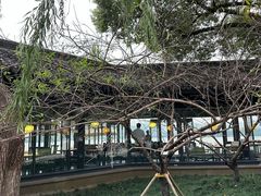 -柳莺湖上·湖景餐厅·江南菜(西湖店)