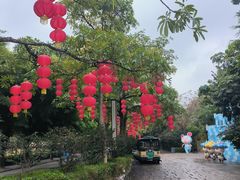 -深圳野生动物园