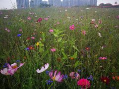 -白塘生态植物园