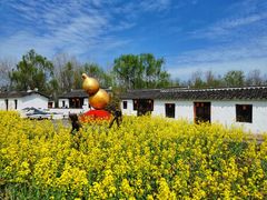 -溱湖国家湿地公园