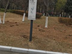 -长春世界雕塑园冰雪艺术天地