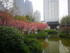 -江宁织造博物馆