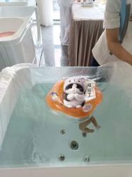 -宝馨月月子中心(友谊医院店)