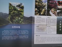 -广州市帽峰山景区