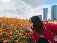 -映月湖中央公园