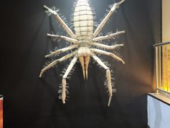 景点-迪拜水族馆及水下动物园