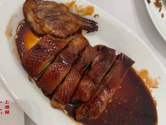 -新吉士·上海菜(浦东LCM置汇旭辉店)