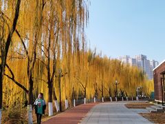 -南翠屏公园