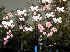 -幕燕滨江·燕子矶公园