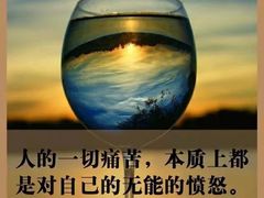 -峙山公园