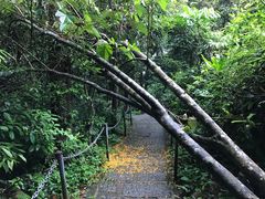 -七仙岭温泉国家森林公园