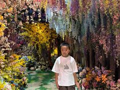 -正佳雨林生态植物园
