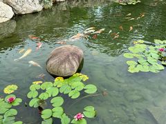 -上海海昌海洋公园