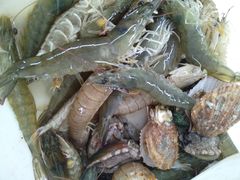 -叶存利海鲜大馅饺子(东戴河止锚湾店)