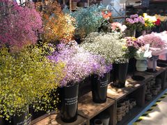 -L.C FLORA花予你(城西银泰城店)