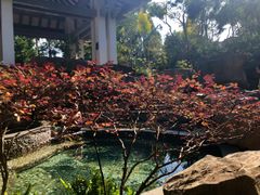 -海口观澜湖火山温泉谷