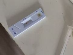 -嘉馨宠物医院·CT影像转诊·心脏科·犬猫全科诊疗中心(下沙大学城院区)